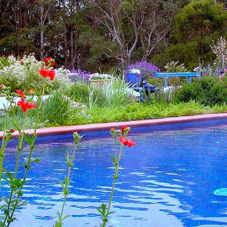 Lemonade Creek Cottages Lorne Dış mekan fotoğraf