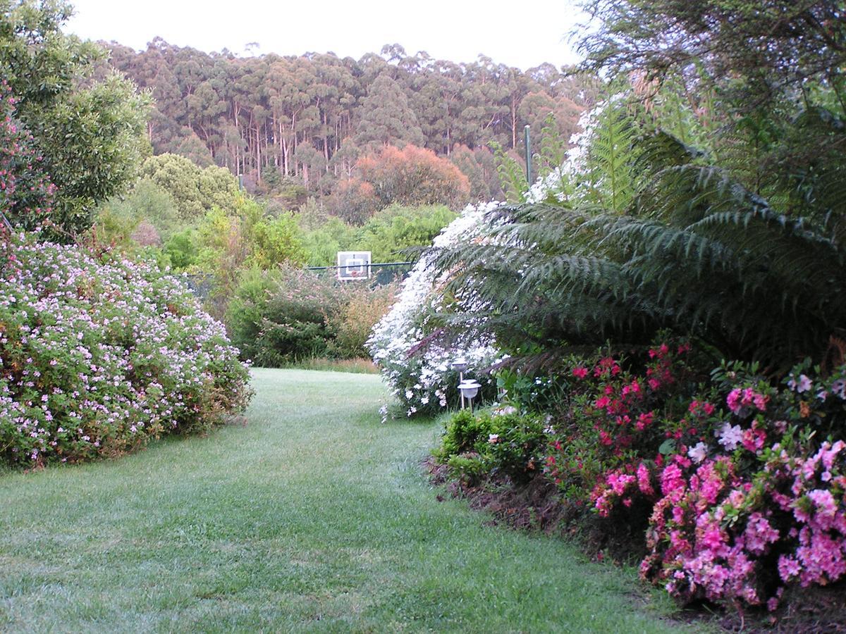 Lemonade Creek Cottages Lorne Dış mekan fotoğraf