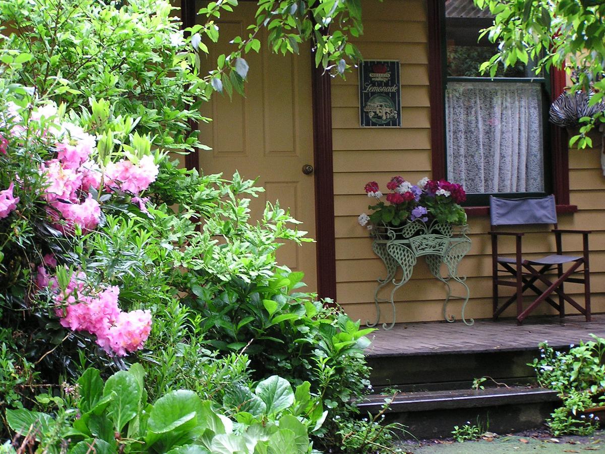 Lemonade Creek Cottages Lorne Dış mekan fotoğraf
