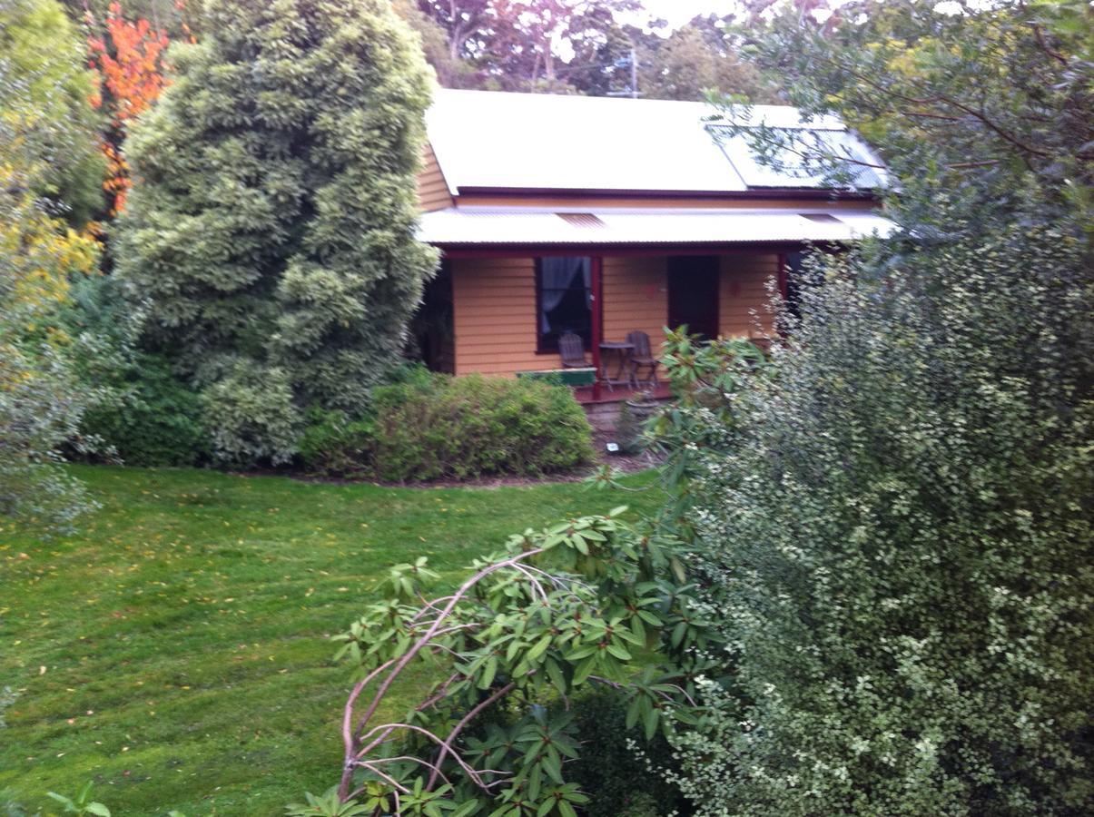 Lemonade Creek Cottages Lorne Dış mekan fotoğraf