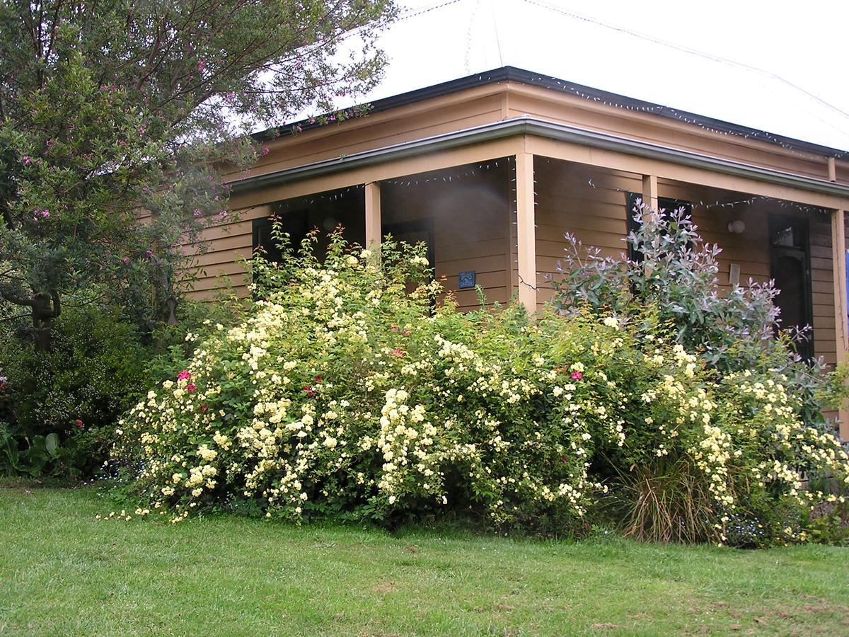 Lemonade Creek Cottages Lorne Dış mekan fotoğraf