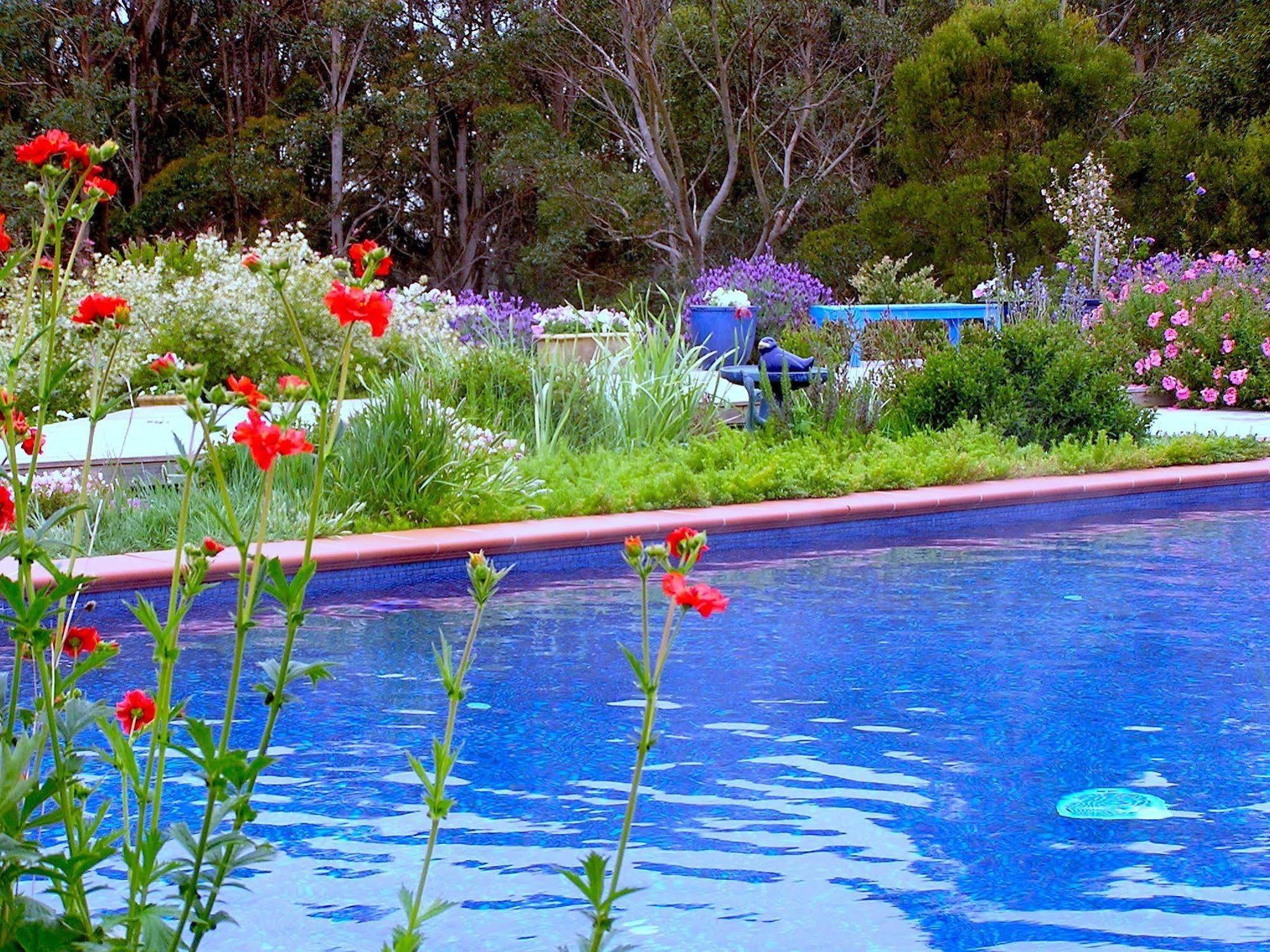 Lemonade Creek Cottages Lorne Dış mekan fotoğraf