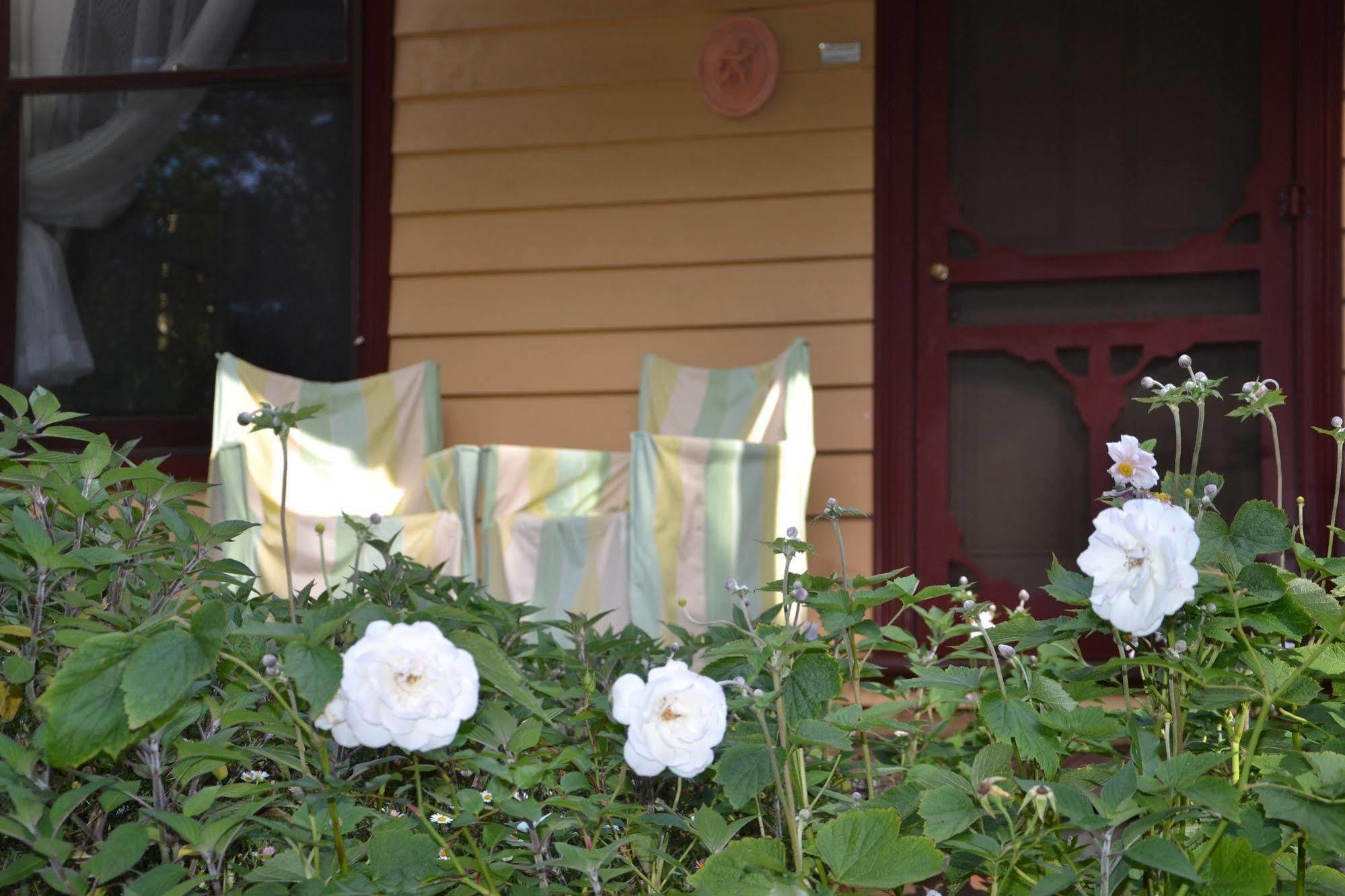Lemonade Creek Cottages Lorne Dış mekan fotoğraf
